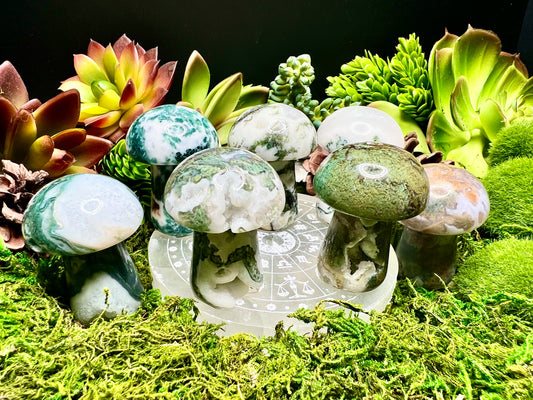 Moss Agate Mushrooms