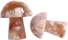 Flower Agate Mushroom